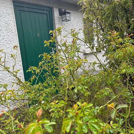 Professional & Approved Self Catering Short Term Homes Feriehus Maynooth