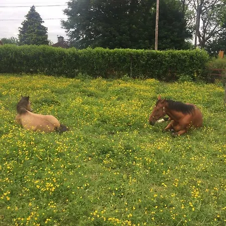 A Selection Of Self Catering Homes At Kilcloon * Maynooth