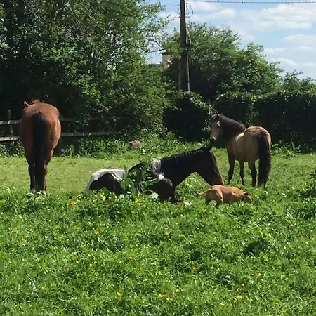 Professional & Approved Self Catering Short Term Holiday Homes * ماينوث