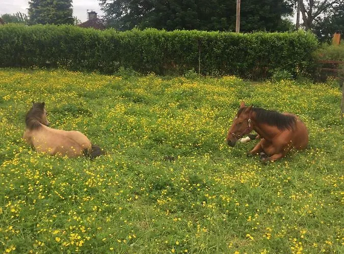 Professional & Approved Self Catering Short Term Holiday Homes * 메이누스