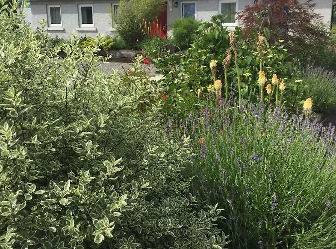 Сasa de vacaciones Professional & Approved Self Catering Short Term Homes