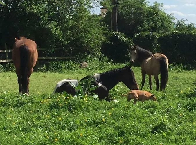 Professional & Approved Self Catering Short Term Holiday Homes * 메이누스